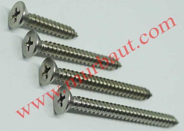 Sekrup tapping Stainless FAB kepala 10