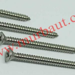 Sekrup tapping Stainless FAB kepala 6