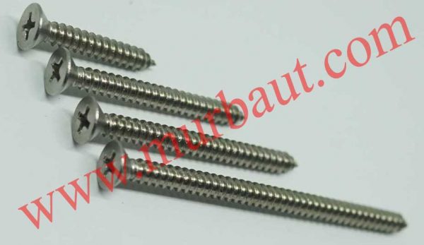 Sekrup tapping Stainless FAB kepala 8